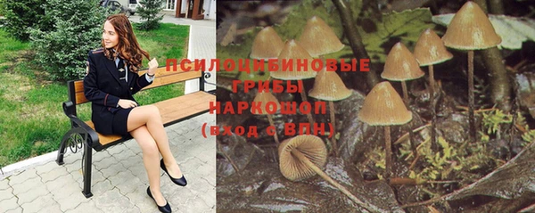 винт Балахна