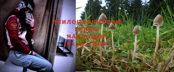 a pvp Баксан