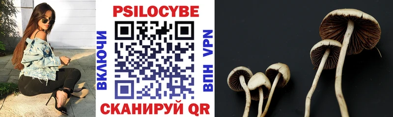 Купить  Пыталово  Псилоцибиновые грибы мухоморы 
